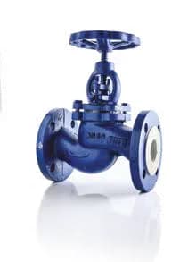 Valvos V2362013-GGG40 Glob Vana / Globe Valve - DÜZ